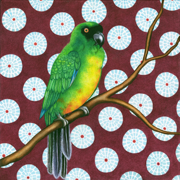 Db-green-patterend-parrot-original-painting